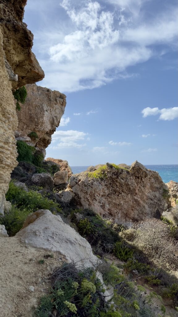 Auslandspraktikum Malta