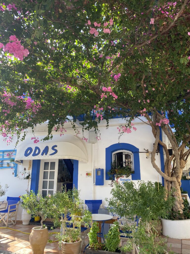 Eindrücke Adele Auslandspraktikum Eindrücke Adele Auslandspraktikum